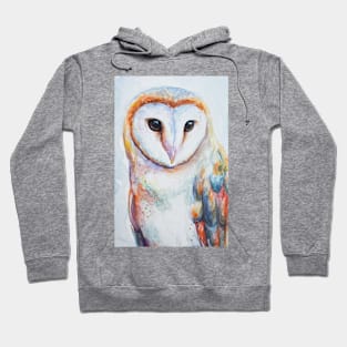 Hand drawing of a polar owl. Hoodie